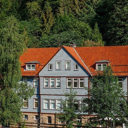 Fewo-Lerbachtal Osterode am Harz Kültér fotó
