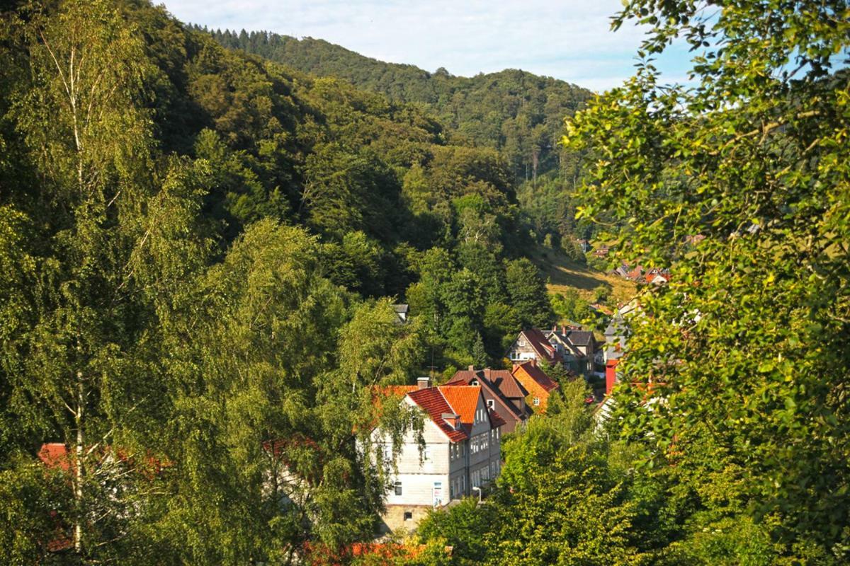 Fewo-Lerbachtal Osterode am Harz Kültér fotó