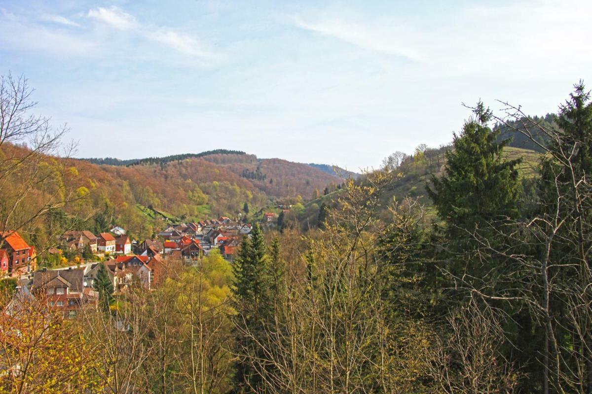 Fewo-Lerbachtal Osterode am Harz Kültér fotó